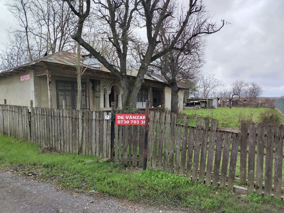 Vând teren intravilan 1000 ,pregătit pentru vânzare  .