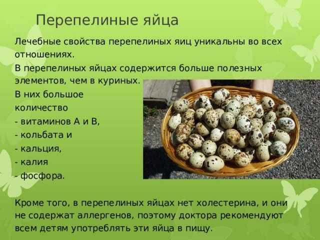 СРОЧНО Продаются перепелинные яйца