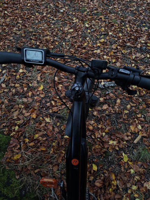 bicicleta Blaunpunkt Prophete 51721