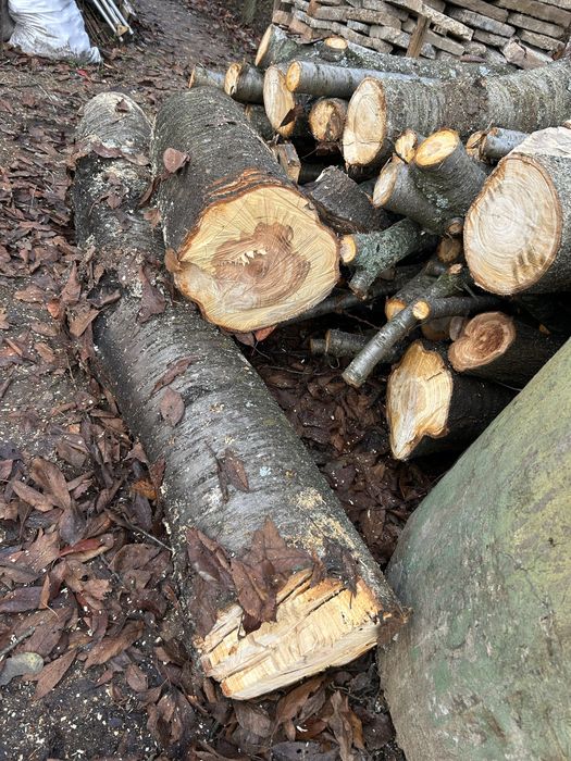 Черешов дървен материал