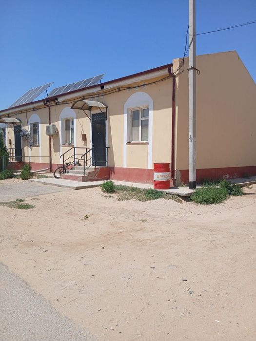 Тележүргізуші трусисын жарқыратып жіберді