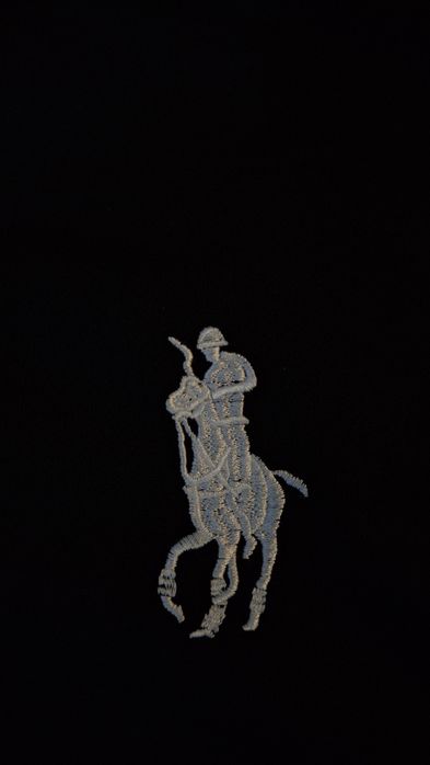 Zip - hoodie Ralph Lauren новая