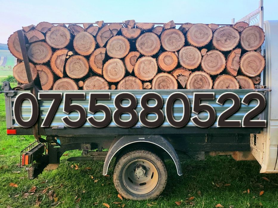 Vând LEMNE DE FOC esență tare ( cer, fag, gorun, carpen, salcâm etc.)