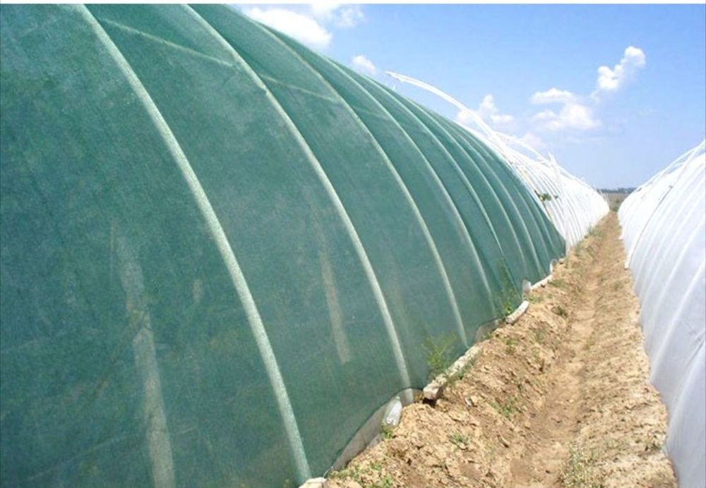 Сетка Российская в Алматы