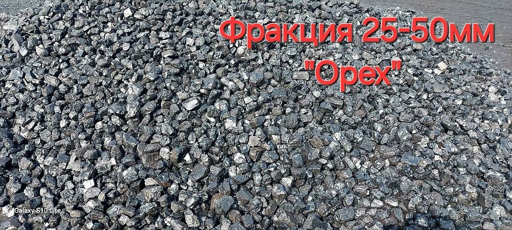 Шубаркуль семечка!