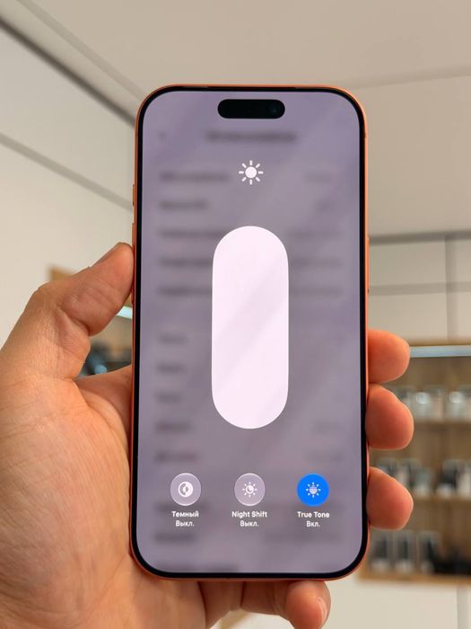 iPhone 17 Pro | 256 GB