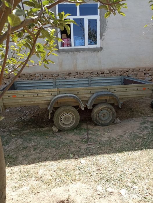 Pritsept mzsa sotiladi