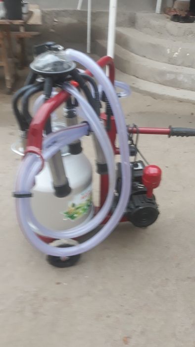 Доика апарат для коров