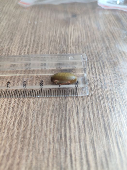 Натуральные камни