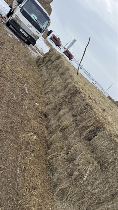 Продаю сено хорошего качества