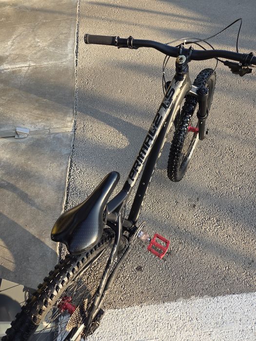 Dartmoor primal 2021