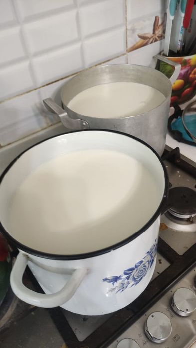 Продам козье молоко