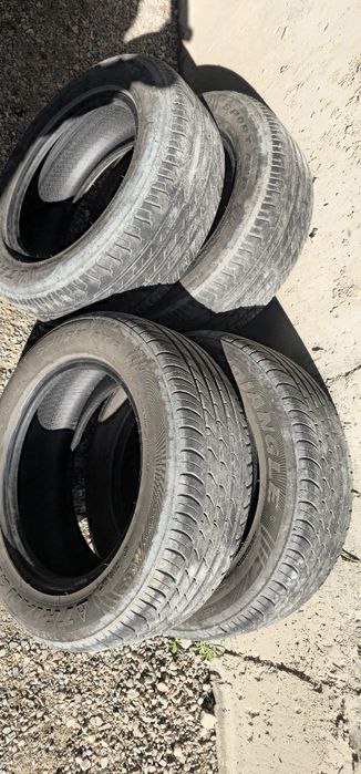 Летний шина TRIANGLE