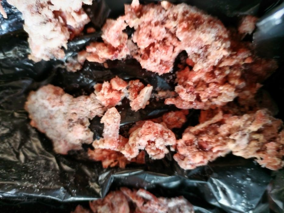 Корма для собак Костанай