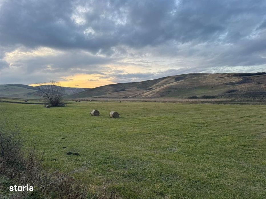 Teren Extravilan I 6000 Mp I Acces la drum | Cojocna