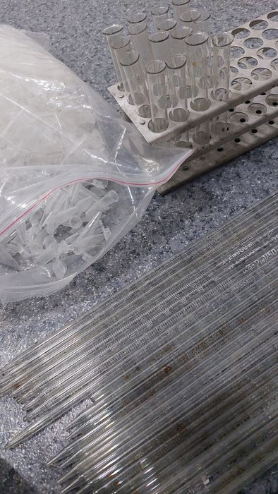 Отдам за шоколадку