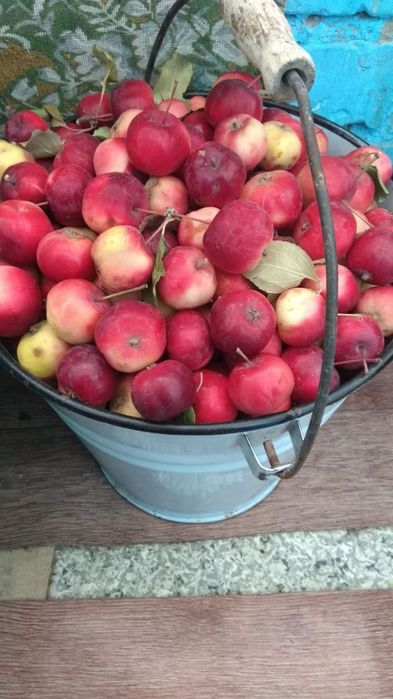 Продаётся  дачный участок п. Деркул