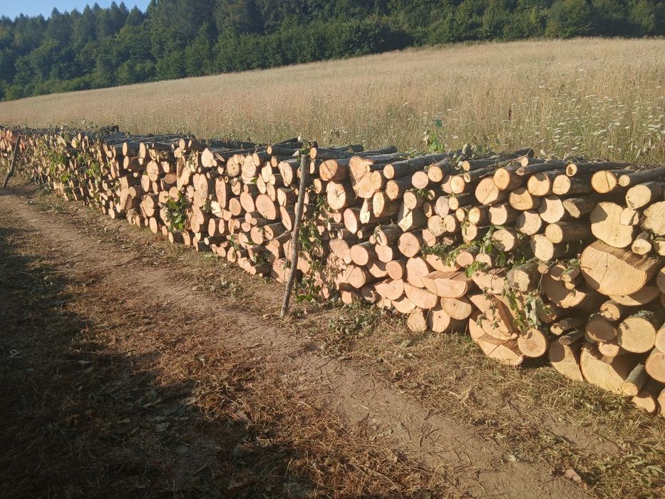 Lemne de foc esență