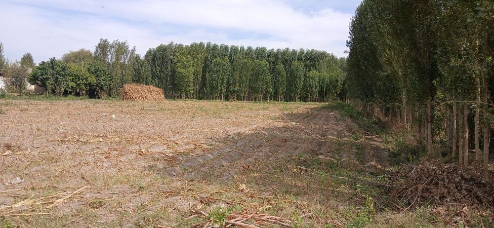 1gektar yer sotiladi