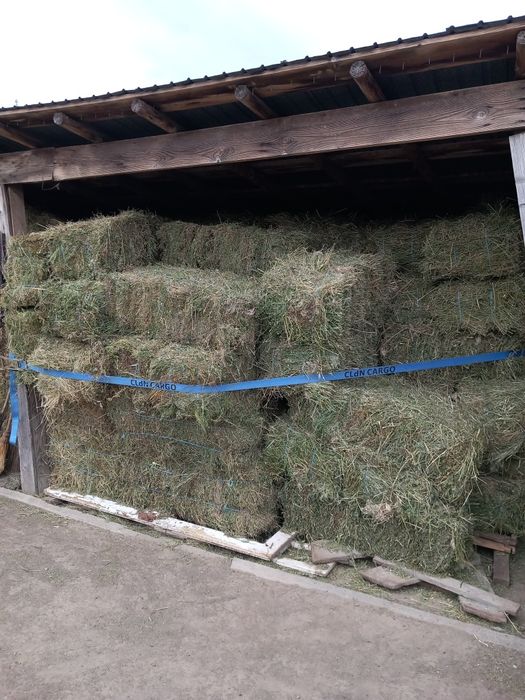 Baloți lucernă de vânzare