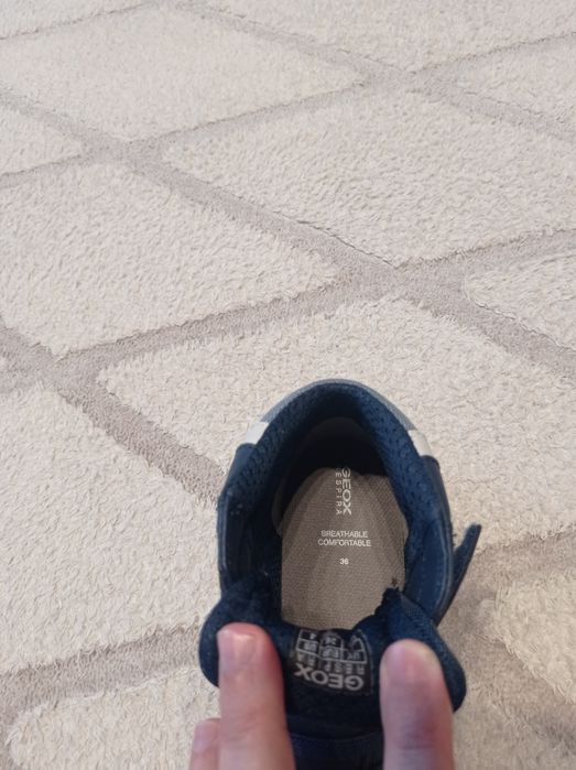 Детски високи кецове Geox за момче