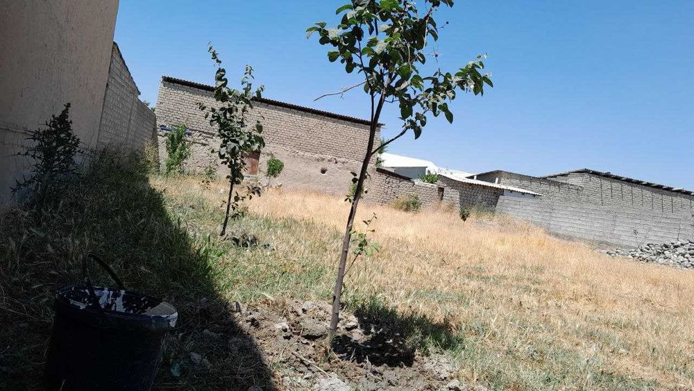 8 sotix bo'sh yer sotiladi. Samarqand v. Paxtabod MFY