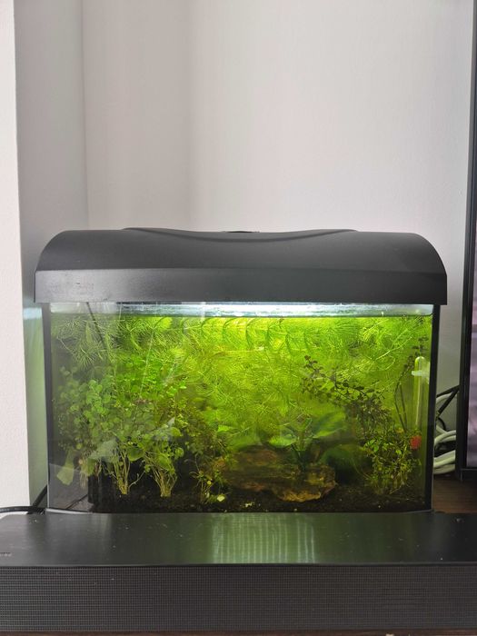 Acvariu Diversa 25l