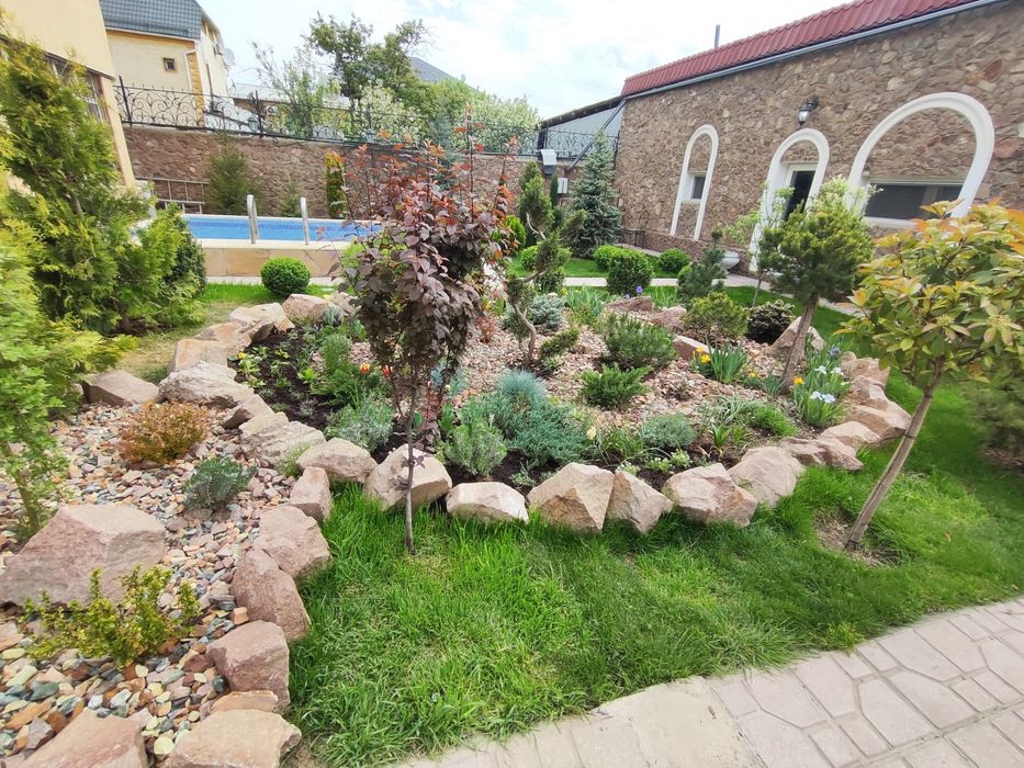 Сад озеленение газон