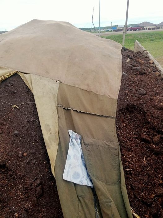 Перегной, чернозем