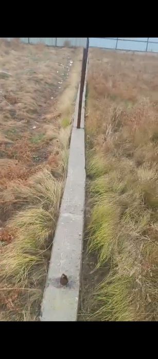 Участок продам дер сатылады