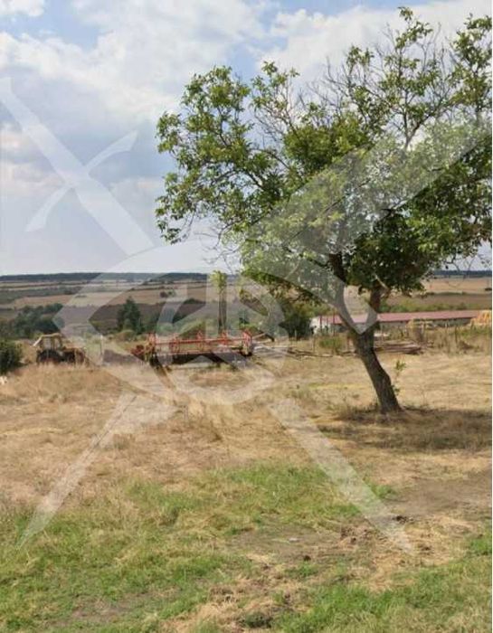 Продава се Земеделски имот в с. Преображенци, Област Бургас -  кв.м за 2000 €/дка - Снимка #1