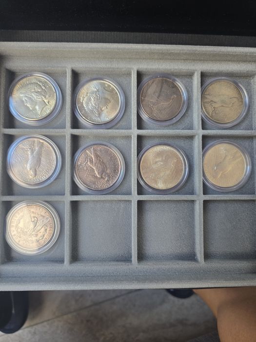 Moneda coin one dollar america