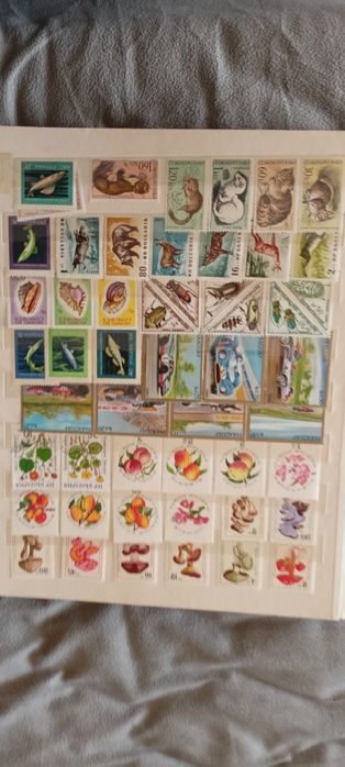 Марки         марки