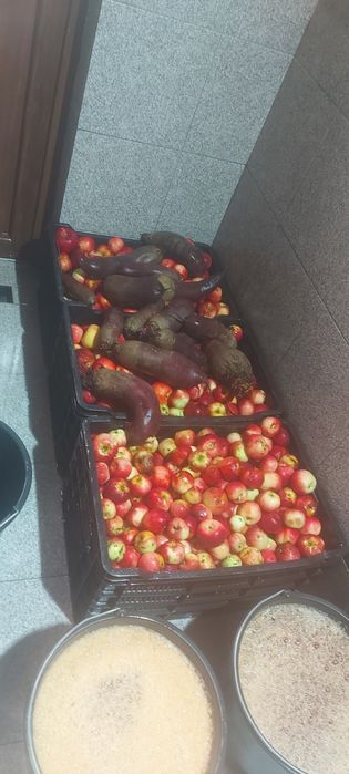 Suc de mere, aronia,sfecla rosie, morcov și struguri.