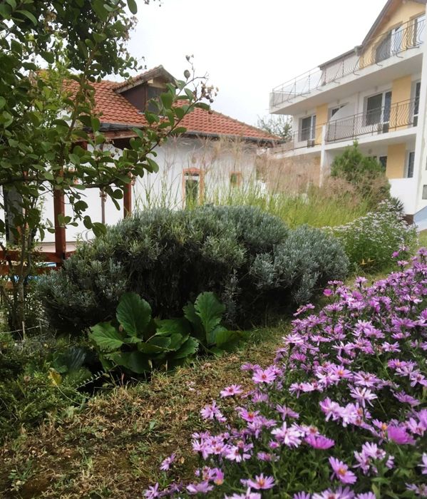 Продава се Къща в Бяла - 600 кв.м за 809 €/кв.м - Снимка #2