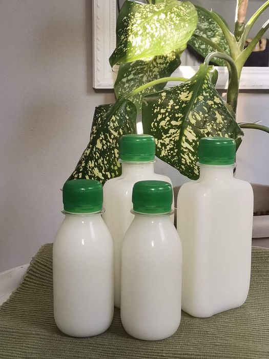 Lapte proaspat de magarita!