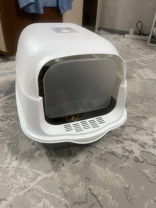Закрытый лоток-домик для кошек, большой и удобный