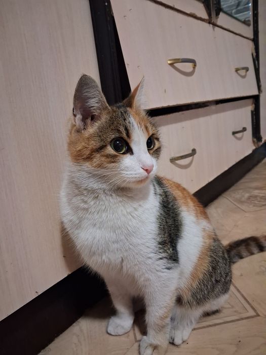 Красавица Ева в поисках дома!!