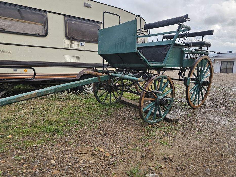 Карета каляска каруца файтон маратон кон кобила пони