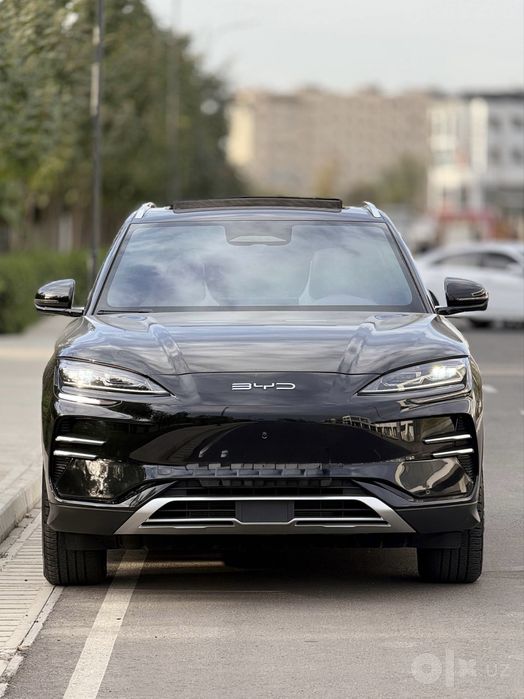 BYD chempyon SMART 605 km