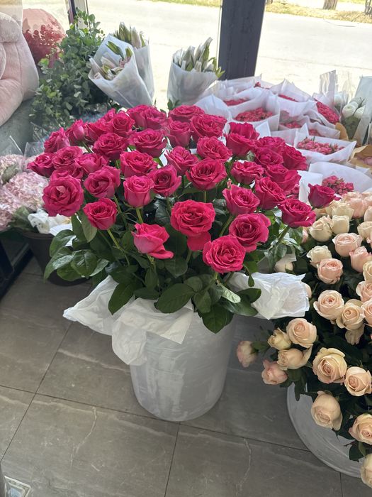 Новые цветы 201 шт