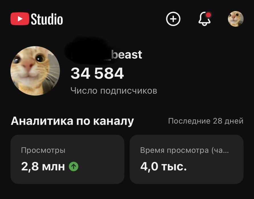 Размещу рекламу на Youtube