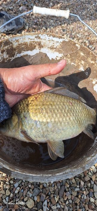 Зона отдыха ÖZEN в Косшы