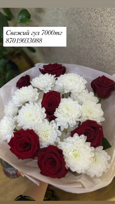 Сегодняшние цветы