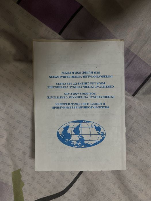 щенки немецкой овчарки, документы имеються