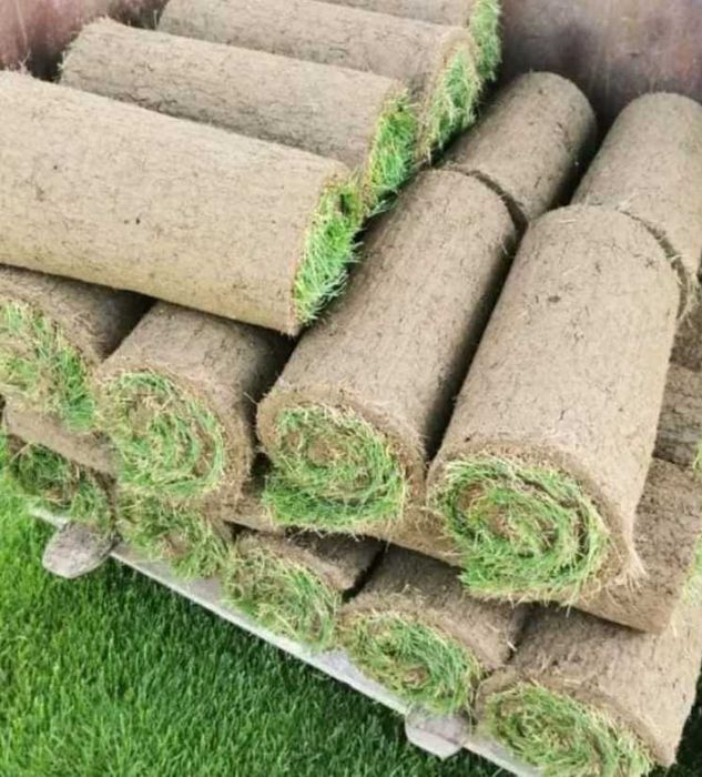 Gazon Rulou, Sisteme de irigare