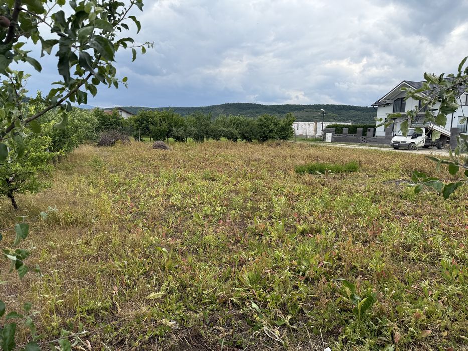 900mp intravilan Aiud