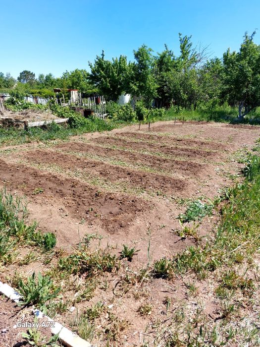 Дача сообщество Уралочка