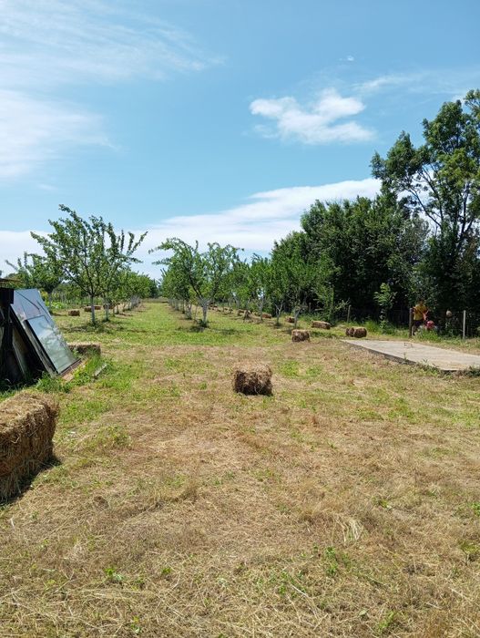 Baloți de vanzare