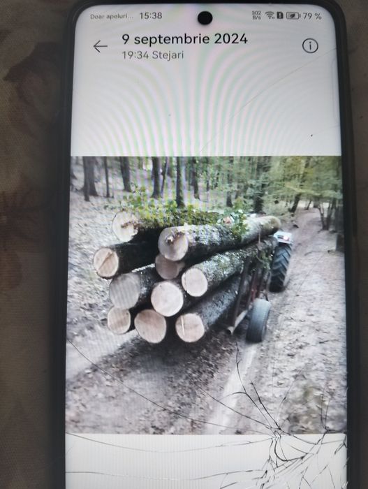 Lemn de stejar pentru lucru